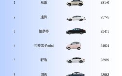 一月份汽车销量排行榜完整版／一月份汽车销量排行榜一月份汽车