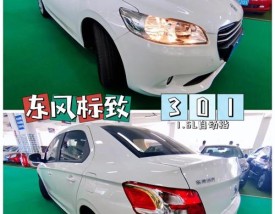 东风标致属于哪个国家(东风标致是哪国生产的汽车)