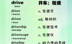 steer(steer和drive的区别)