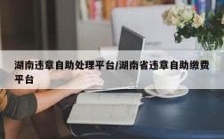湖南违章自助处理平台/湖南省违章自助缴费平台