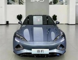 比亚迪海豹什么时候上市,比亚迪海豹什么时候出