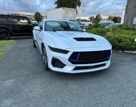 第七代野马国内上市时间／第六代野马 哪一年出来的