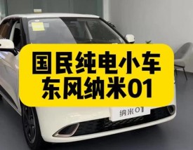 东风纳米01报价／东风纳智捷报价