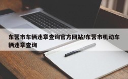 东营市车辆违章查询官方网站/东营市机动车辆违章查询