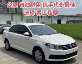 普桑新款 普桑2022款