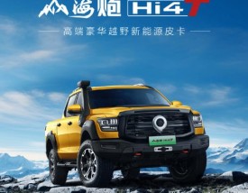 长城皮卡2022款价格图片,长城皮卡所有车型图片报价