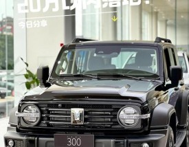 长城坦途克300油耗怎么样,坦途克300油耗一公里几毛