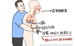 成人想学医怎么办 成人学医有什么途径