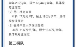 中外合作办学学费 中外合作办学学费一般多少