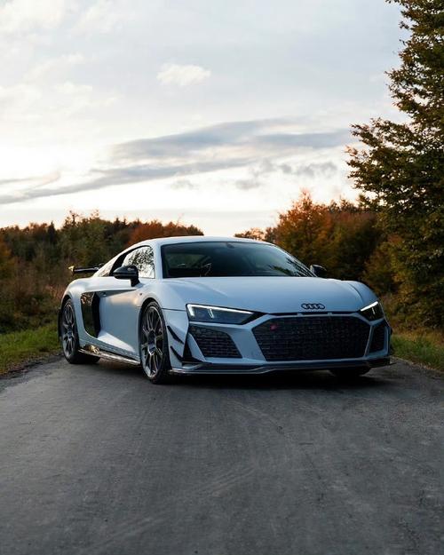 奥迪r8和gtr哪个快(gtr比奥迪r8哪个回头率高)