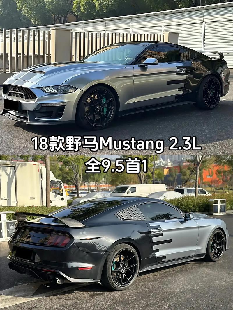 野马最新款报价及图片/野马报价及图片大全 价钱