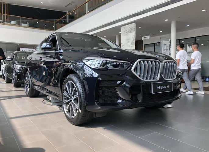 宝马x6排量/宝马x6排量44的推动力是多少