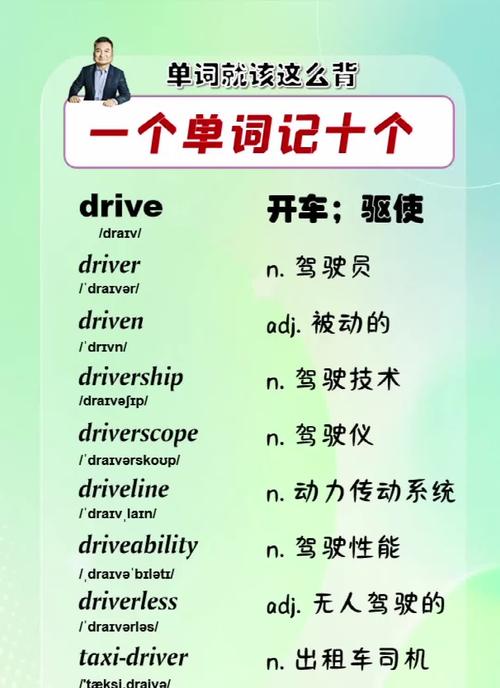 steer(steer和drive的区别)