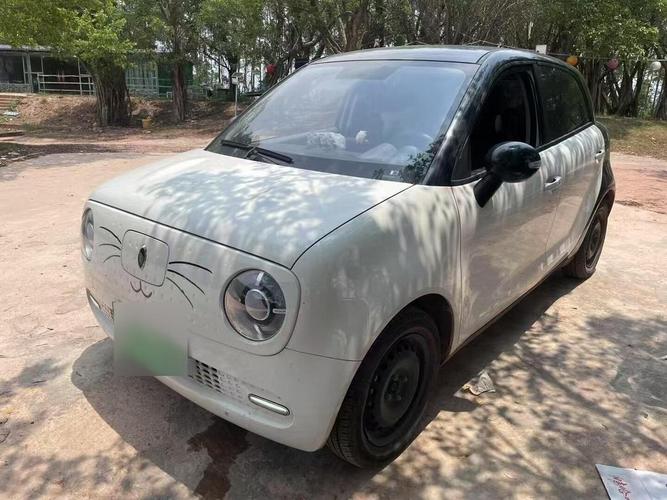 欧拉黑猫2021款价格图片 欧拉黑猫新款图片