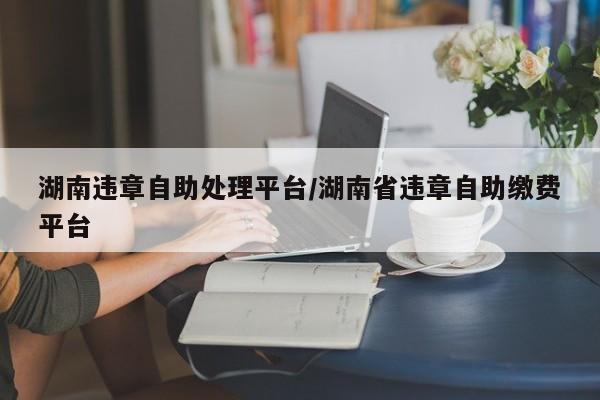 湖南违章自助处理平台/湖南省违章自助缴费平台